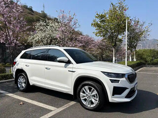 2025 Skoda Kodiaq I Рестайлинг, белый, 3280000 рублей, вид 3