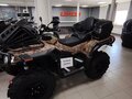 2026 Loncin XWolf 1000L Muddy, коричневый, 1399000 рублей - вид 11