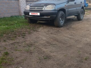 2005 Chevrolet Niva I, серый, 300000 рублей, вид 1