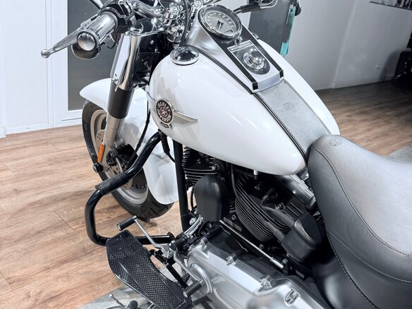 2011 Harley-Davidson Fat Boy, белый, 1399000 рублей - вид 15