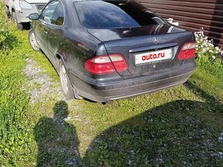 2000 Mercedes-Benz CLK-Класс 230 I (W208) Рестайлинг, чёрный, 500000 рублей, вид 5