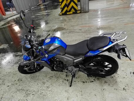 2022 Regulmoto T-Leopard 300, синий, 150000 рублей, вид 2