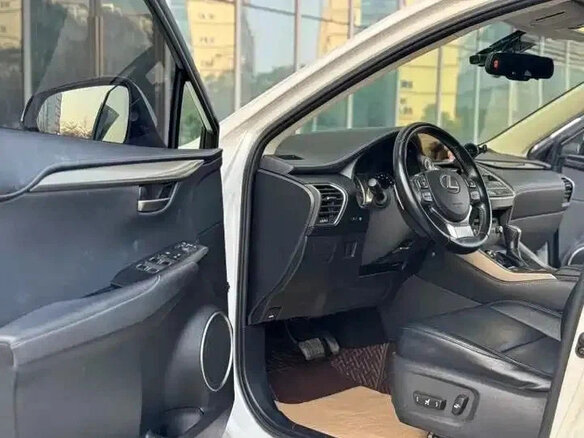 2021 Lexus NX 200 I Рестайлинг, белый, 3168002 рублей - вид 13