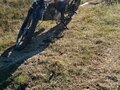 2024 Мотоальфа A1, синий, 30000 рублей