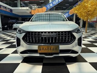 2024 Haval Chitu, белый, 1310000 рублей, вид 3