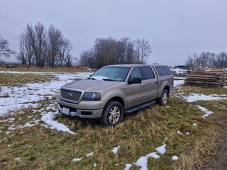 2004 Ford F-150 XI, золотистый, 500000 рублей, вид 1