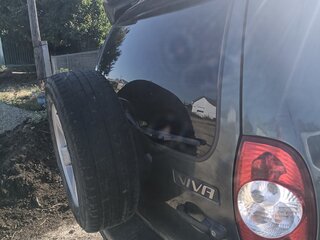 2013 Chevrolet Niva I Рестайлинг, серый, 500000 рублей, вид 5