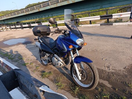 2001 Suzuki XF 650 Freewind, синий, 350000 рублей, вид 4