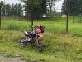 2023 Regulmoto Seven Medalist Pro, красный, 85000 рублей - вид 2