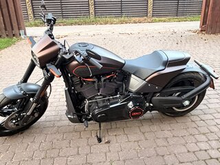 2019 Harley-Davidson FXDR 114, коричневый, 2700000 рублей, вид 4