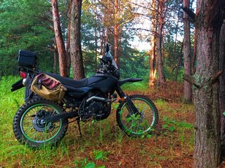 2022 Racer Panther, зелёный, 100000 рублей, вид 3