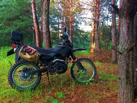 2022 Racer Panther, зелёный, 100000 рублей, вид 3