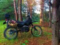 2022 Racer Panther, зелёный, 100000 рублей - вид 2