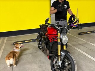 2014 Ducati Monster 1200, красный, 640000 рублей, вид 1