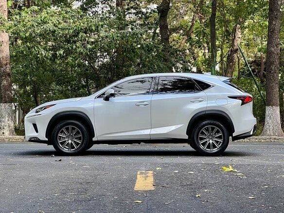 2020 Lexus NX 200 I Рестайлинг, белый, 2764000 рублей - вид 7