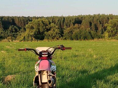 2026 Wels CRF 125, красный, 95000 рублей, вид 5