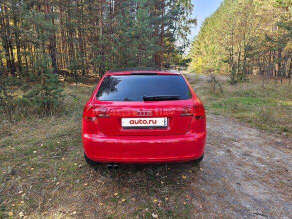 2005 Audi A3 II (8P) Рестайлинг 1, красный, 620000 рублей - вид 7