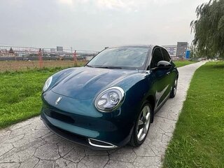 2021 Ora Good Cat 47.8 kWh I, зелёный, 1420000 рублей, вид 2