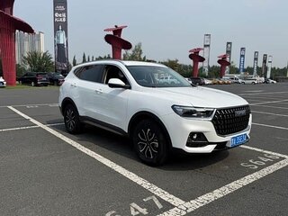 2023 Haval H6 III, белый, 1460000 рублей, вид 2