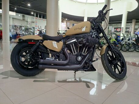 2019 Harley-Davidson Sportster 883, бежевый, 1100000 рублей, вид 5