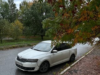 2014 Skoda Rapid I, белый, 480000 рублей, вид 1