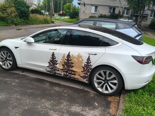 2018 Tesla Model 3 Long Range I, белый, 2500000 рублей, вид 4