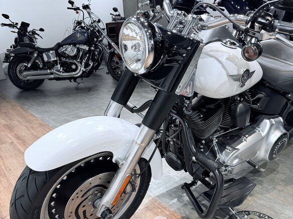2011 Harley-Davidson Fat Boy, белый, 1399000 рублей - вид 9