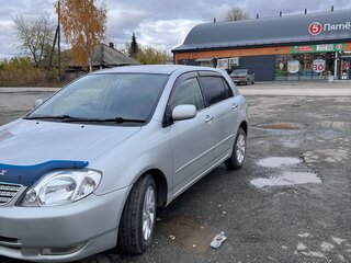 2002 Toyota Allex I Рестайлинг, серый, 550000 рублей, вид 3