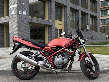 1997 Suzuki Bandit GSF 250, красный, 180000 рублей, вид 1