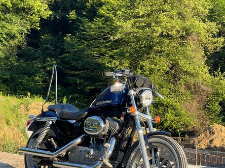 2008 Harley-Davidson Sportster 883, синий, 520000 рублей, вид 2