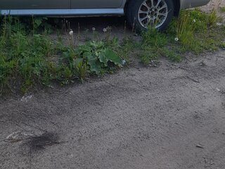 2007 Skoda Octavia I (A4) Рестайлинг, серебристый, 299999 рублей, вид 5