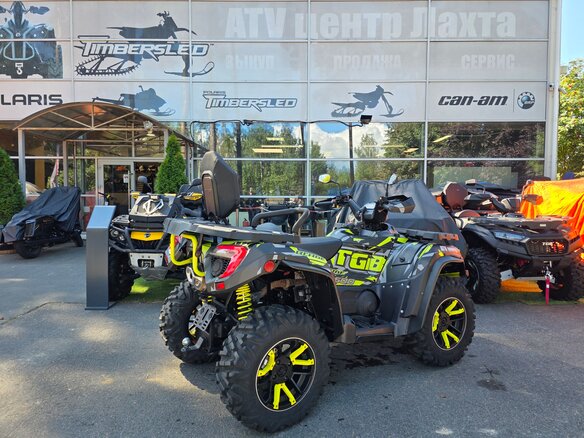 2023 TGB Blade 600, чёрный - вид 12