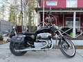 2005 Harley-Davidson Sportster 883, чёрный, 590000 рублей