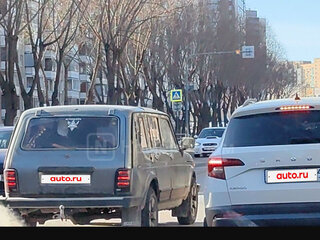 2010 Lada (ВАЗ) 2131 (4x4) Рысь I, серый, 780000 рублей, вид 2