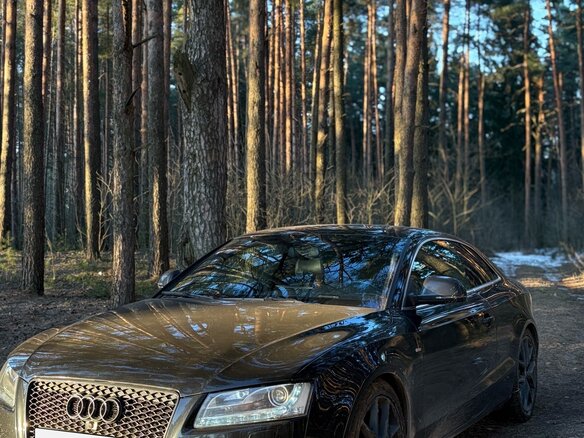 2009 Audi A5 tiptronic I (8T), чёрный, 1700000 рублей - вид 6
