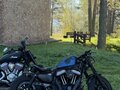 2018 Harley-Davidson Sportster 1200, чёрный, 1350000 рублей - вид 1