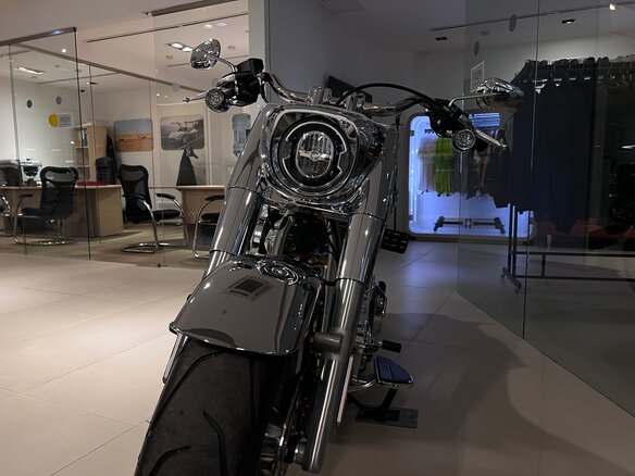 2025 Harley-Davidson Fat Boy, серебристый, 5300000 рублей - вид 6