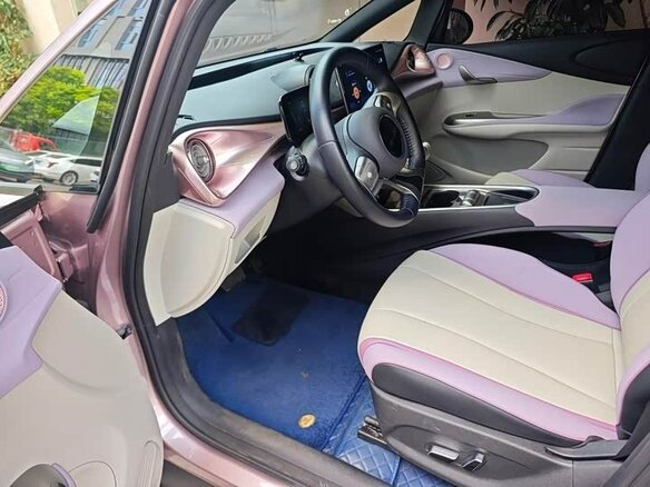 2023 BYD Dolphin 44.9 kWh I, розовый, 1650000 рублей - вид 10