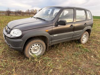 2010 Chevrolet Niva I Рестайлинг, коричневый, 590000 рублей, вид 3