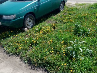 2003 Lada (ВАЗ) 2110, зелёный, 70500 рублей, вид 3