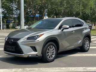 2021 Lexus NX 200 I Рестайлинг, серебристый, 2470000 рублей, вид 1