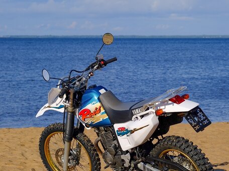 1995 Yamaha TT250R, белый, 310000 рублей, вид 3