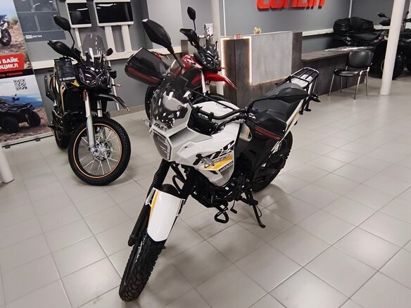 2026 Loncin MS250, белый, 179900 рублей - вид 10