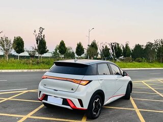 2024 BYD Dolphin 44.9 kWh I, белый, 1190000 рублей, вид 5