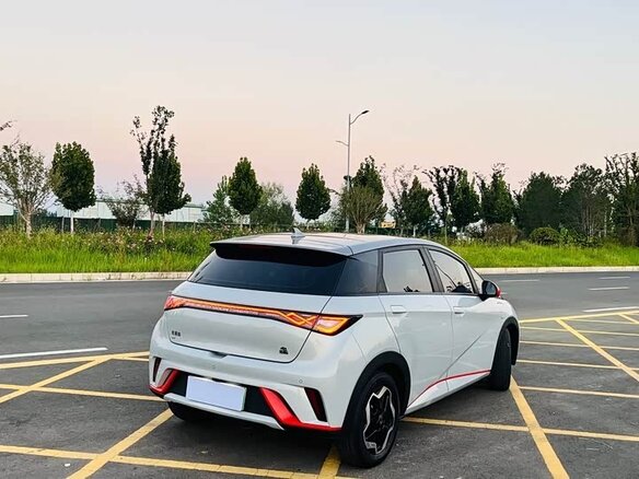2024 BYD Dolphin 44.9 kWh I, белый, 1651000 рублей - вид 4