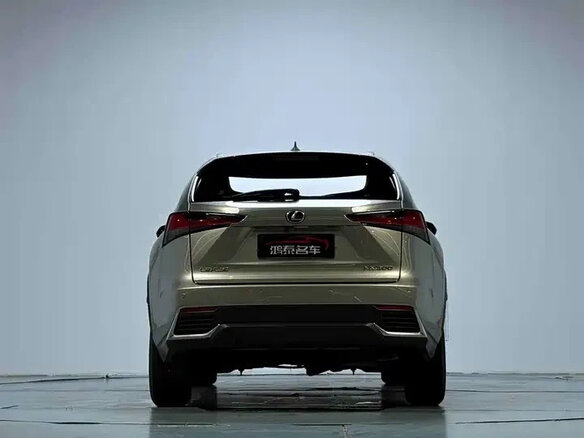 2020 Lexus NX 200 I Рестайлинг, серый - вид 5