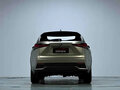 2020 Lexus NX 200 I Рестайлинг, серый - вид 5
