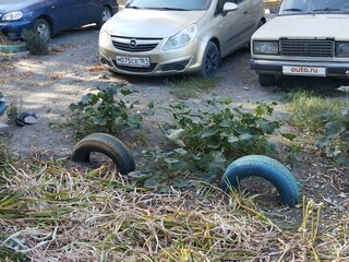 2007 Opel Corsa D, золотистый, 330000 рублей, вид 5