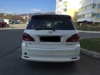2003 Toyota Ipsum II (M20), белый, 800000 рублей, вид 5