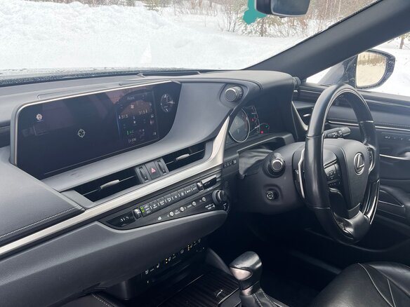 2019 Lexus ES 300h VII, синий, 4200000 рублей - вид 9